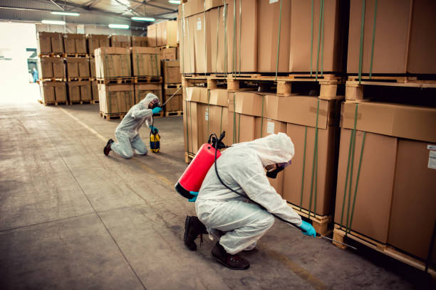 Best Best Pest Control Companies  in Chinle, AZ