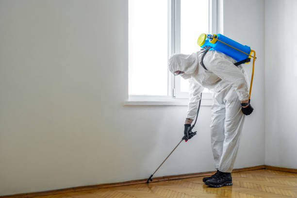 Professional Pest Control in Chinle, AZ