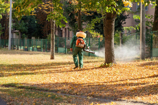Best Best Pest Control Companies  in Chinle, AZ