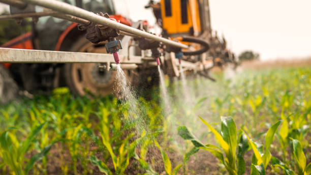 Best Mosquito Control Services  in Chinle, AZ
